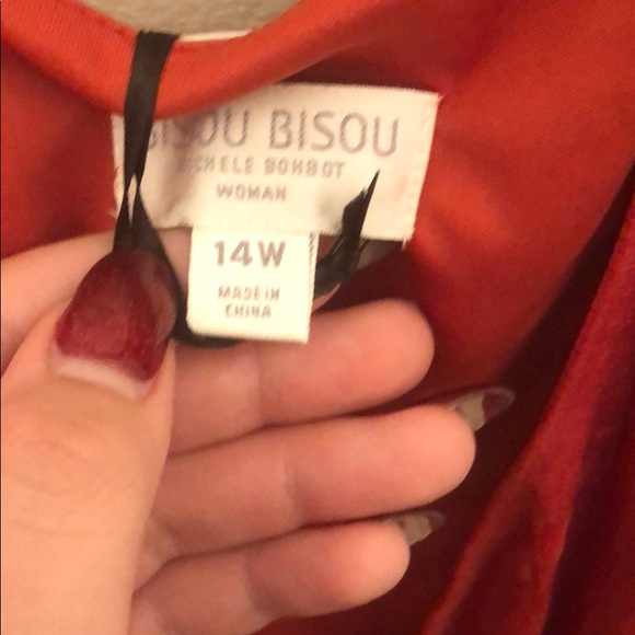 Bisou Bisou Burnt Sienna Dress - Picture 2 of 7